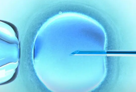 揭秘借卵生子和女方有没有关系，专家：无孕妈遗传基因