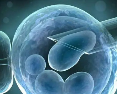 胚胎移植第49天出血不可大意,中医教你如何保胎