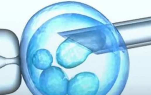 试管取卵了多久可以移植冻胚，试管取卵了多久可以移植冻胚囊胚